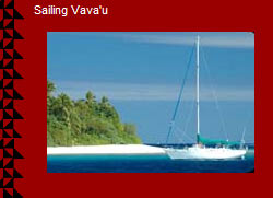  We have moorings and cyclone moorings available close to the hub of Neiafu