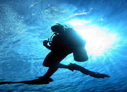We offer PADI open water and Advanced courses