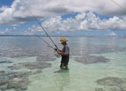 Luckies Beach Island Tours